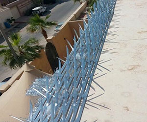 أفضل شركة مكافحة الحمام وتركيب طارد الحمام بالرياض
